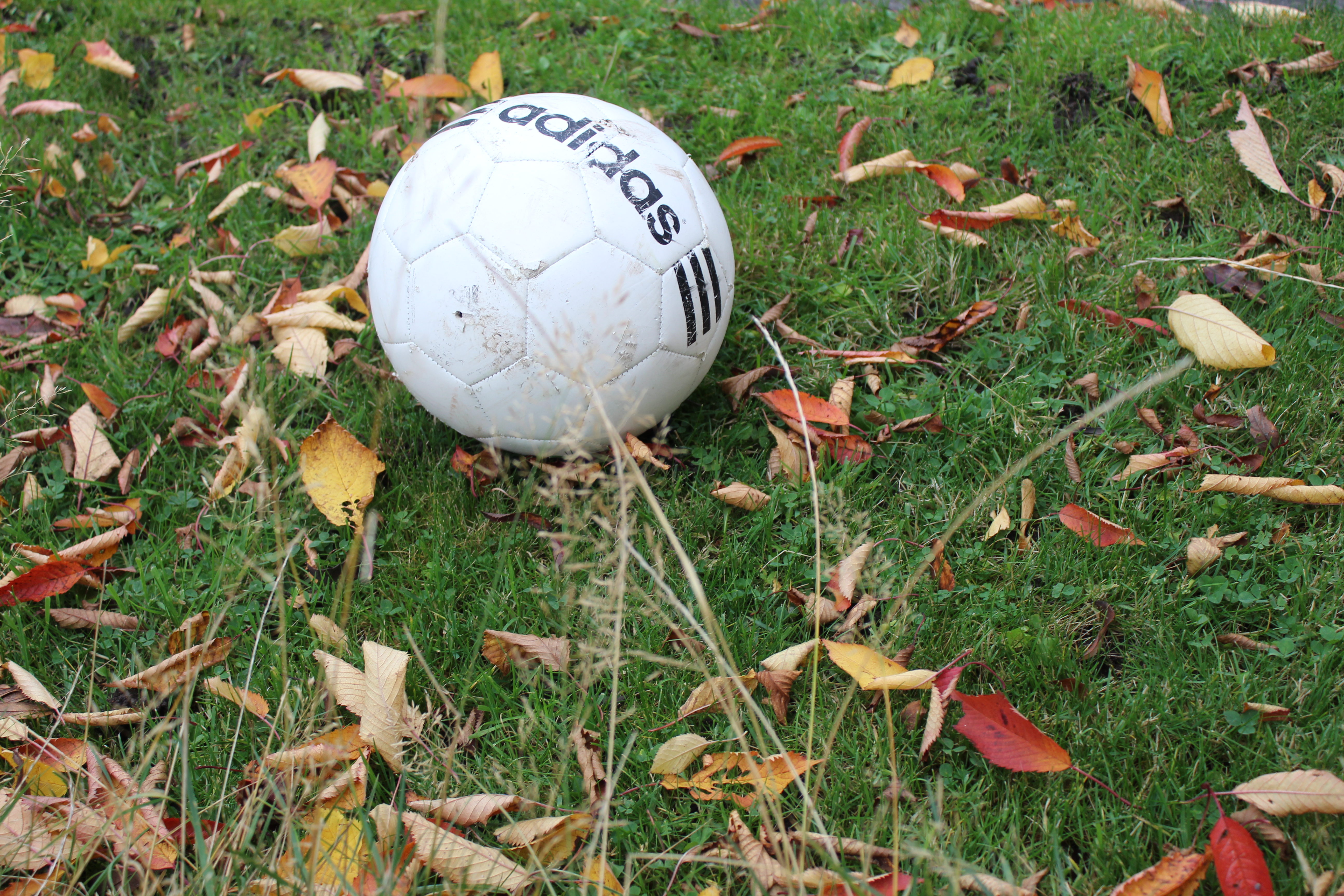The Ball